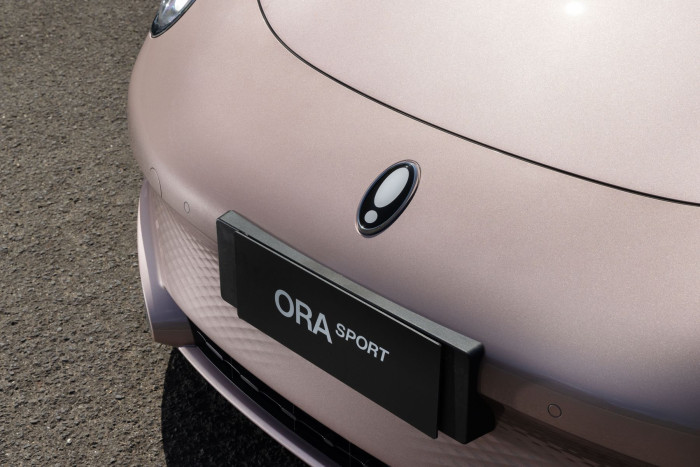 Erstmalig präsentiert wurde der Ora Lightning Cat im Herbst vergangenen Jahres. (Bild: Great Wall Motor / press-inform)